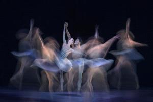 PhotoVivo Honor Mention - Tracy Shuxi Feng (USA)  Duet
