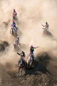 PhotoVivo Honor Mention - Tracy Shuxi Feng (USA)  Desperate Horses