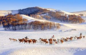 IUP Honor Mention - Muyang Zhou (China)  Snow Song
