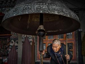 PhotoVivo Honor Mention - Liquan Sheng (China)  Believer